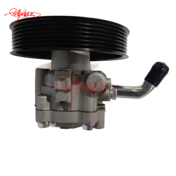 auto parts Power Steering Pump Suitable for Nissan X-trail T30 Y62 Y61 Y60 Patrol OEM oem 49110-8H30B 49110-7S000